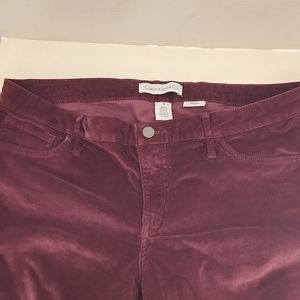 Calvin Klein Co. Pant